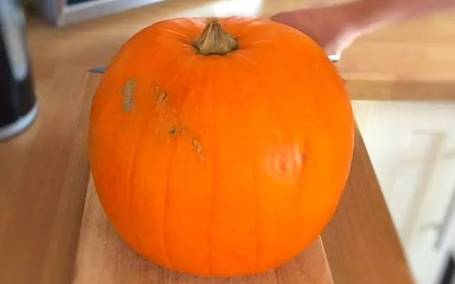 1 large orange pumpkin