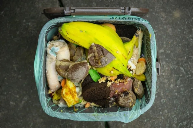 green food bin with waste in it