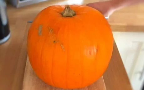 large pumpkin